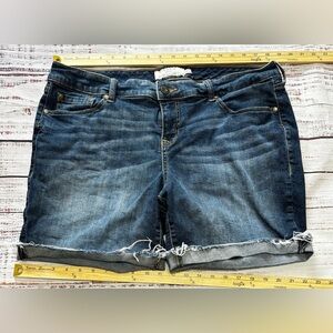 Women’s Torrid Cut Off Denim Shorts